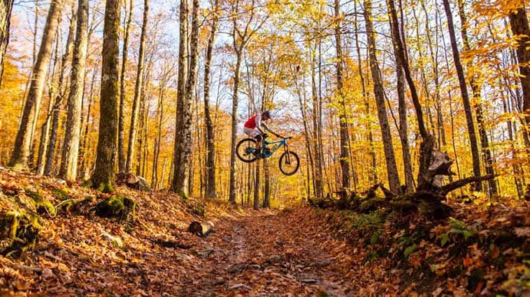 Dorset is the perfect spot to grab your bike and head into the woods, with some of the best mountain biking on the East Coast. Read more details about this bike lover’s paradise.