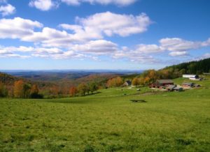 Merck Forest & Farmland Center