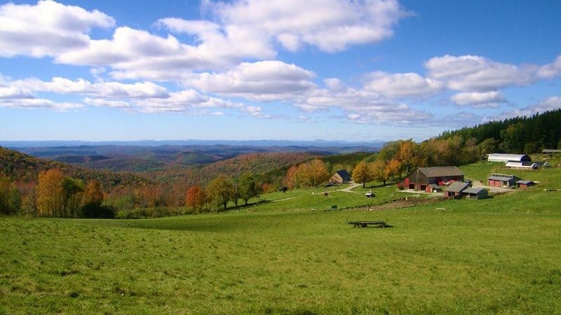 Reconnect with nature and family! Plan your visit to Merck Forest & Farmland Center, where you can enjoy backcountry camping, 30 miles of recreational trails, a working farm, and a variety of events and workshops for all ages.