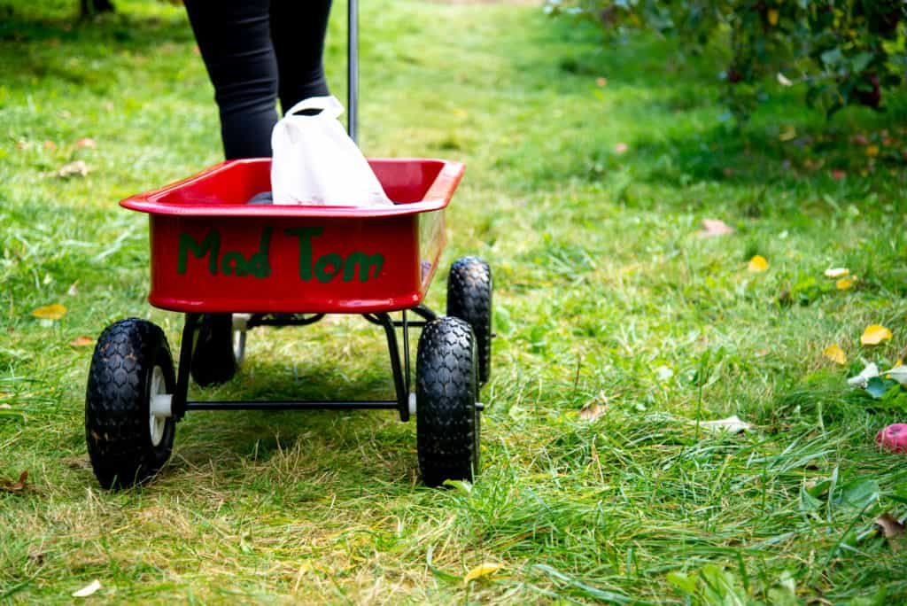 Mad Tom Orchard is the perfect spot for apple picking when Vermont's warm summer days turn cool and crisp. Come celebrate the changing seasons with us!