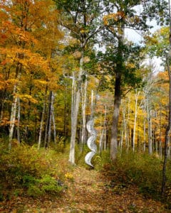 Southern Vermont Arts Center includes a state-of-the-art museum, studio space, a 400-seat auditorium, and the largest sculpture garden in the state of Vermont. Come and see how we combine culture, nature, and small town charm through arts.
