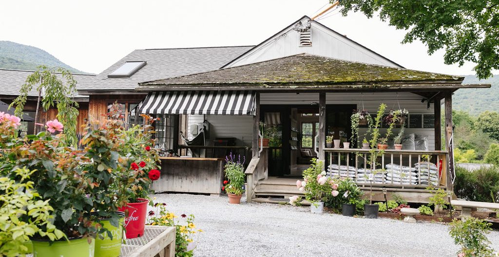 Mettowee Mint is your go-to garden center, offering gardening supplies, high-quality tools, houseplants, flowers, thoughtful gifts, and seasonal décor.