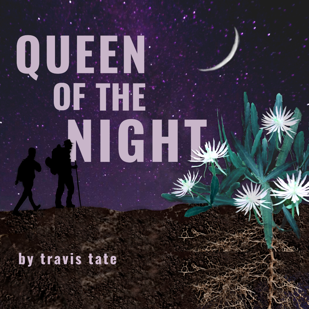 Queen of the Night