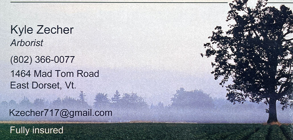 Let us trim your troubles away! Kyle Zecher Tree Care offers services including tree removal, shade tree and ornamental pruning, shrub pruning, stump grinding, and cabling.