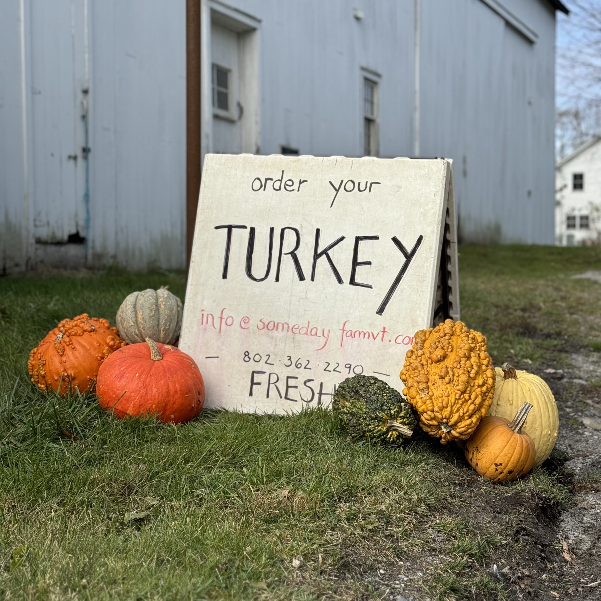 From mouthwatering baked pies to irresistible baked goods and oven-roasted turkey, we're here to help you make this season's feasting extra special!