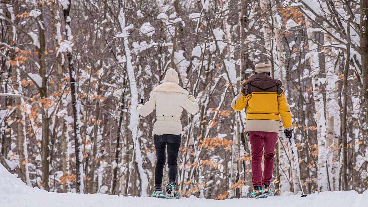 A Guided Snowshoe Hike on New Year’s Day in Dorset Vermont: Recovery Of The Bears