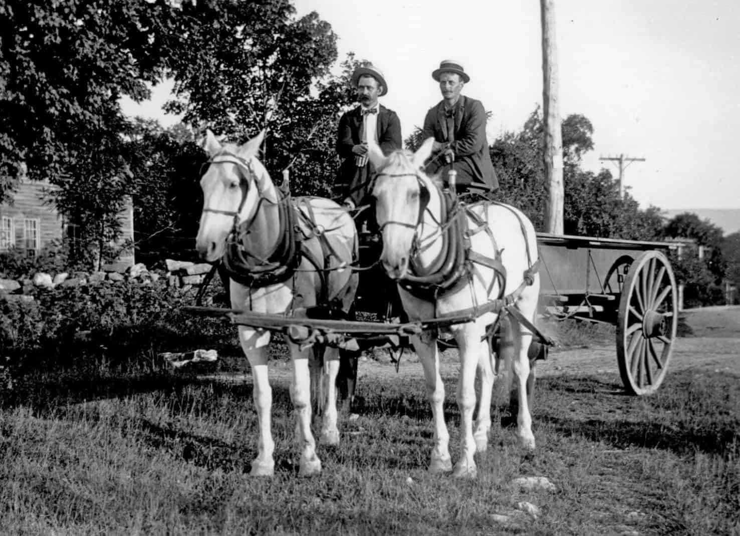 History-Manchester-Horses