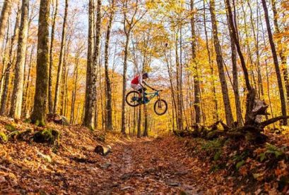 Dorset is the perfect spot to grab your bike and head into the woods, with some of the best mountain biking on the East Coast. Read more details about this bike lover’s paradise.